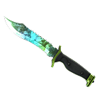 weapon